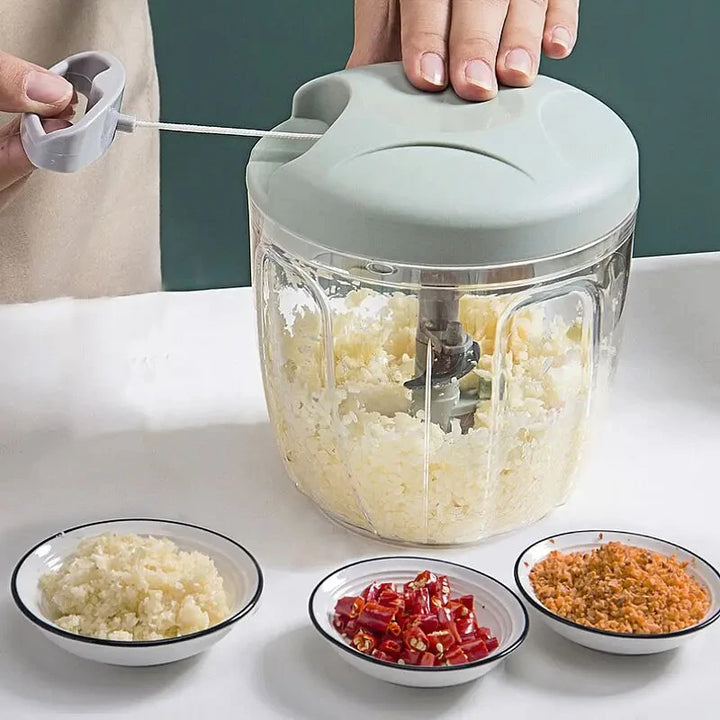 Manual seasoning processor